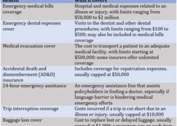 What are travel insurance pre existing conditions? | Insurance Business ...