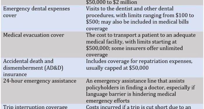 What are travel insurance pre existing conditions? | Insurance Business ...