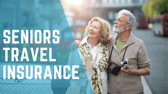 Buy Senior Travel Insurance Online | Travelner Travel