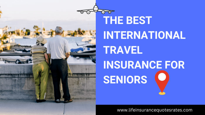 Best Seniors Travel Insurance Over 65 Quotes [Compare Rates]