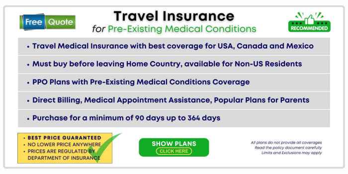 Choosing US Travel Medical Insurance for Parents With Pre-Existing ...
