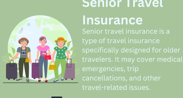 The Best Travel Insurance For Seniors (From $26.71 Per Week)
