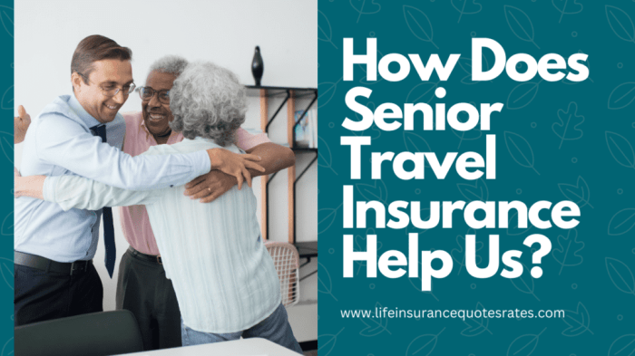 Best Seniors Travel Insurance Over 65 Quotes [Compare Rates]