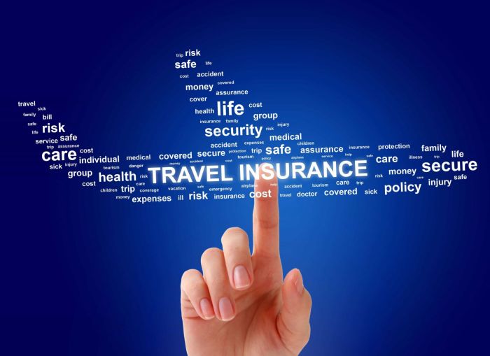 Travel Medical Insurance