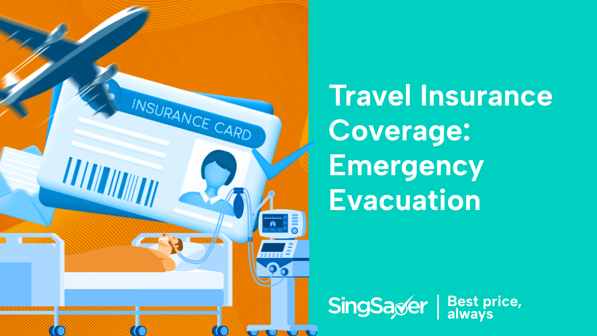 How Much Is Travel Insurance? A Traveller’s Go-To Guide