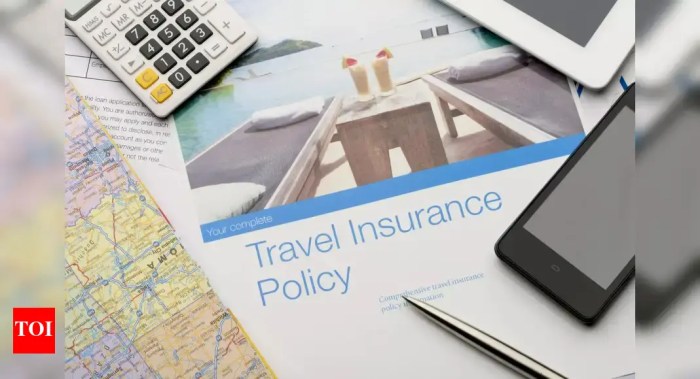How To Choose The Best Travel Insurance Coverage - Thomas Cook Blog