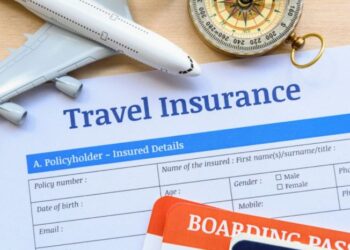 International Travel Insurance: Which Policy Suits You Best?